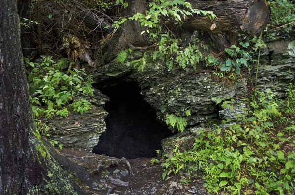 Cave in the Woods — Stock Photo, Image