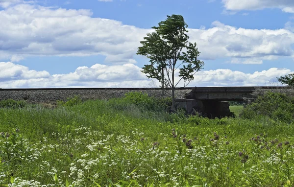 Paisaje del puente del tren —  Fotos de Stock