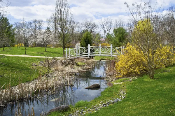 Fluxo de primavera Parque sayen — Fotografia de Stock