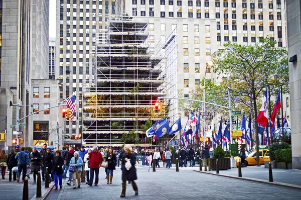 Vorbereitung des Baumes — Stockfoto