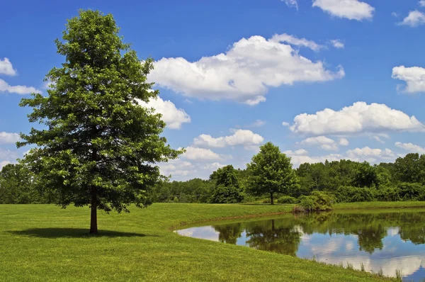 Día de verano perfecto — Foto de Stock