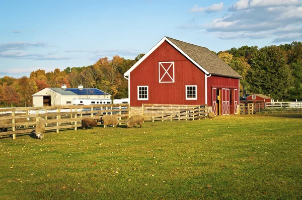 Autumn Barn — Stock Photo, Image