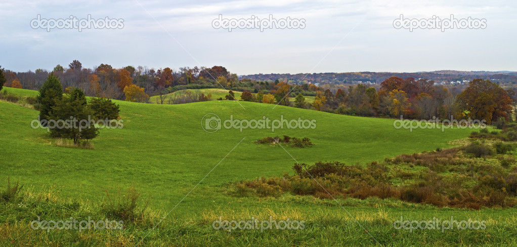 Hillside Panorama