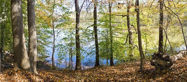 Lago Perrineville Panorama — Fotografia de Stock