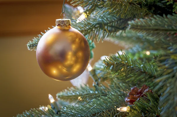 Holiday Ornament — Stock Photo, Image
