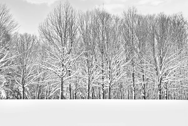 Wintertakken — Stockfoto