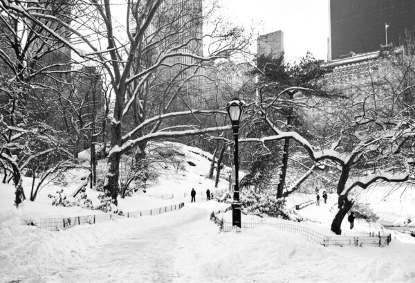 A snow filled black and white look at Central Park in New York City.
