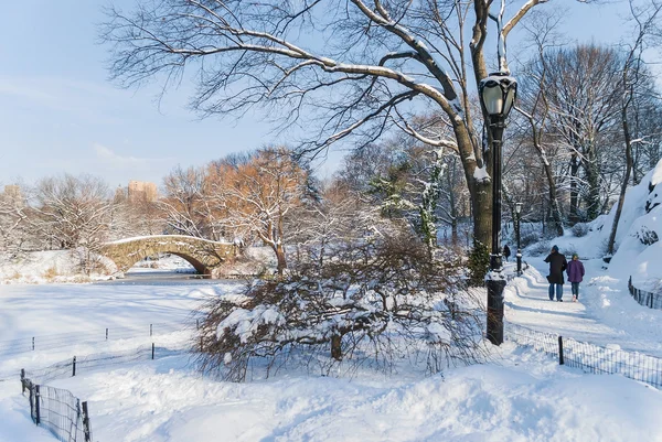 Winterwandeling in het park — Stockfoto