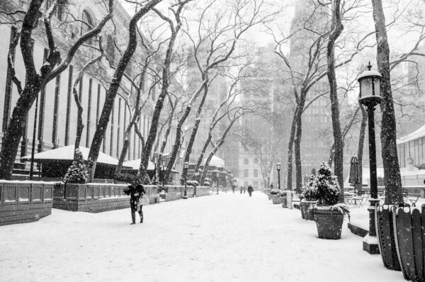 Bryant Park in black and white during a recent snow storm.