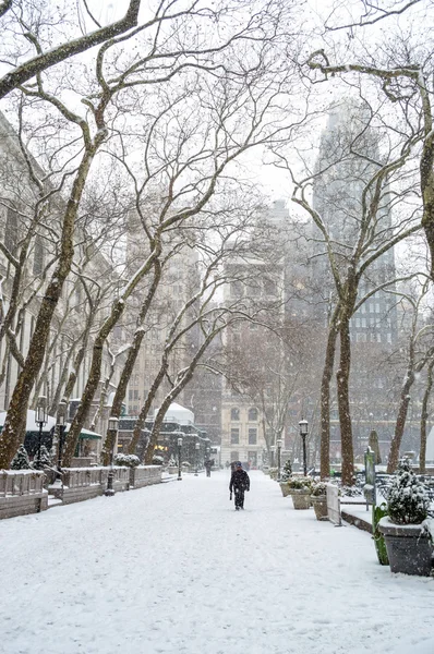 Nevando no parque — Fotografia de Stock