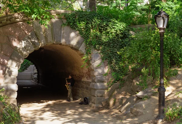 Sax spelare central park — Stockfoto