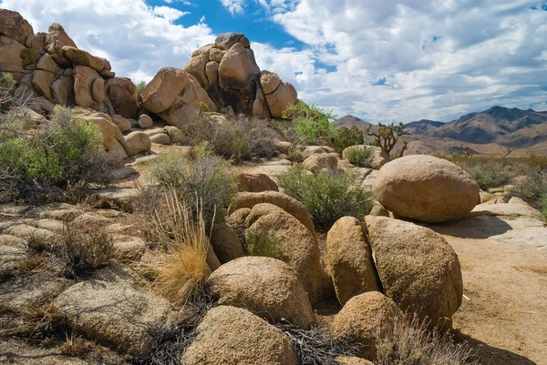 Paysage du désert de Mojave — Photo
