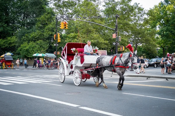 Carriage Ride Central Park — Stock Photo, Image