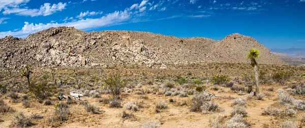 石沙漠景观 — 图库照片