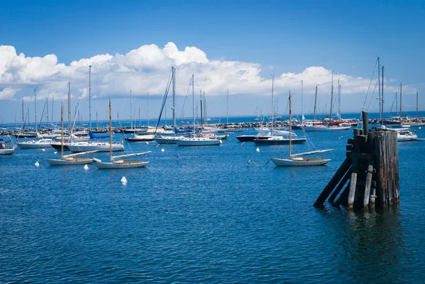 Marina Martha's Vineyard — Stock Photo, Image