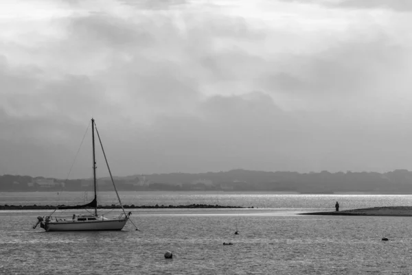 Cape cod deniz manzarası bw — Stok fotoğraf