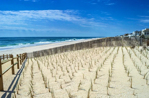 Replantando las dunas —  Fotos de Stock