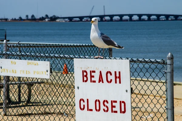 Strand gesloten teken — Stockfoto