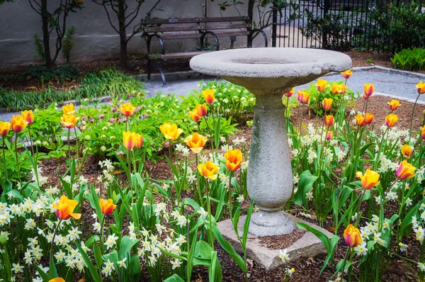 Old Bird Bath in the Park — Stock Photo, Image
