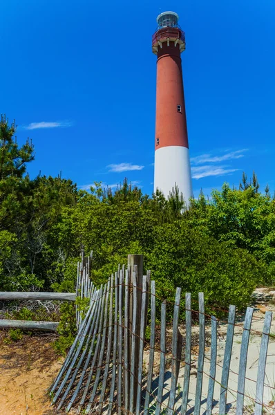 Leuchtturm von Barnegat und Dünen — Stockfoto