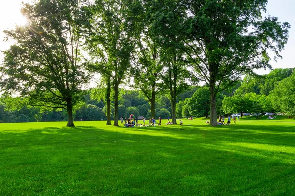 Picknick i parken — Stockfoto