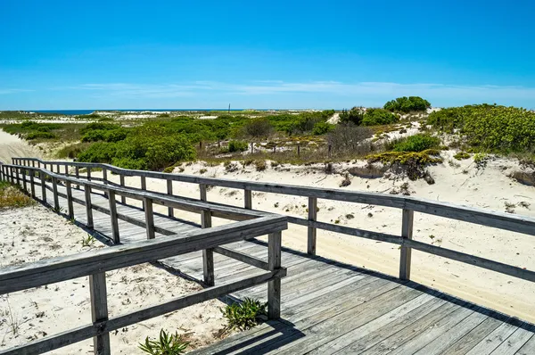 Promenade door duinen — Stockfoto