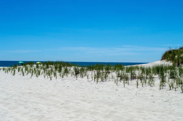 Naturalnej plaży — Zdjęcie stockowe