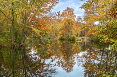 Plainsboro New Jersey 'de Shallow Brook' un canlı bir sonbahar manzarası.