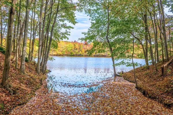 Fall Leaves Fill Stream Lake Mccormack Plainsboro Preserve Middlesex County — Stock Photo, Image