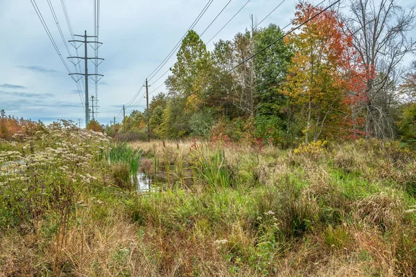 Strommasten Über Diesem Herbstlichen Feuchtgebiet Plainsboro New Jersey — Stockfoto