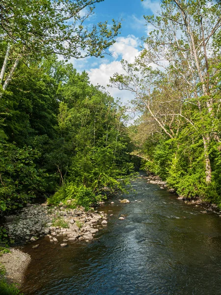 Een Prachtige Zomerbeek Hardwick Township Warren County New Jersey — Stockfoto