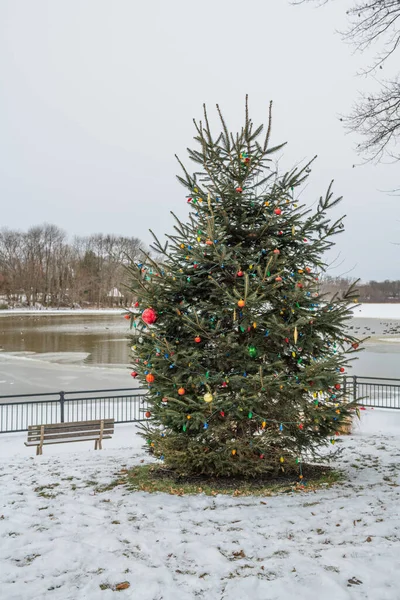 Nicely Decorated Christmas Pine Tree Lake Allentown New Jersey — Stock Photo, Image