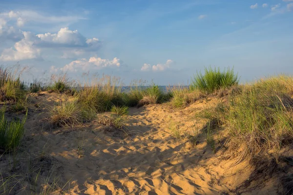 Φυσικοί Αμμόλοφοι Στην Παραλία Του Keansburg Κατά Μήκος Της Ακτής — Φωτογραφία Αρχείου
