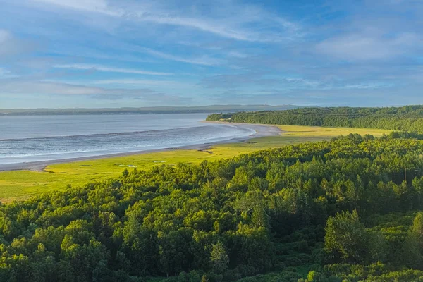 Anchorage Alaska 'nın el değmemiş yeşil manzarası.
