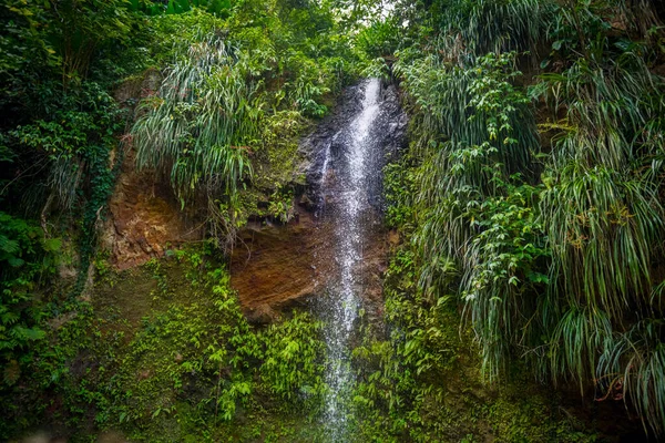 Beautiful Toraille Falls Soufriere Saint Lucia — Stock Photo, Image