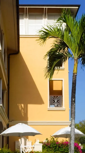 Hotel Colorido Uma Palmeira Neste Cenário Tropical Santa Lúcia — Fotografia de Stock
