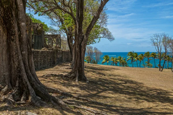 Saint Lucia Daki Pigeon Adası Ndaki Tarihi Rodney Kalesi Nin — Stok fotoğraf