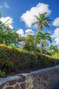 Saint Lucia 'daki Gros Adası' nda tropikal çiçekler ve palmiye ağaçları olan bir bahçe duvarı..