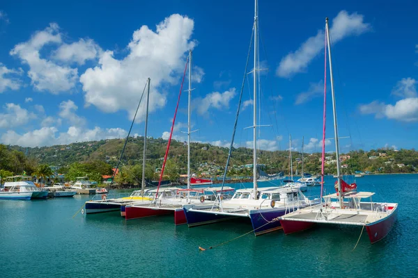 Castries Lucia Mei Een Tropische Jachthaven Met Kleurrijke Boten Mei — Stockfoto
