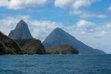 Saint Lucia adasındaki Pitonlar.