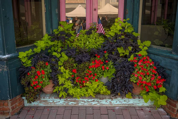 Lindas Plantas Flores Envasadas Verão Nesta Porta Antiga Point Pleasant — Fotografia de Stock