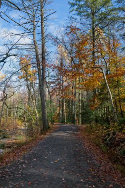 New York 'un kuzeyindeki Minnewaska Eyalet Parkı' ndaki bir derede yürüyüş parkı..