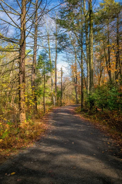 Ein Herbstblick Auf Diesen Wanderweg Lake Minnewaska State Park New — Stockfoto