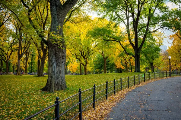 Sendero Pie Través Los Cambiantes Colores Otoñales Central Park Manhattan — Foto de Stock