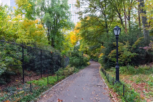 Ein Weg Durch Ramble Herbst Central Park — Stockfoto