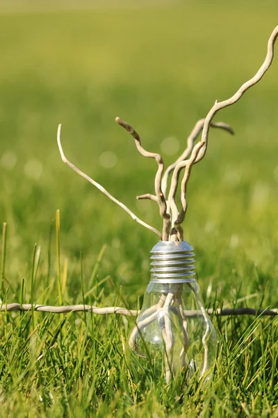 Lamp on the green grass — Stock Photo, Image