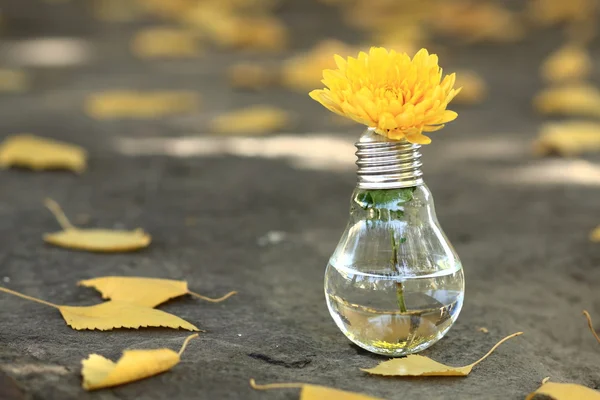 Light bulb with yellow flower — Stock Photo, Image