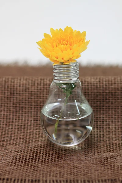 Glühbirne mit gelber Blume Stockbild