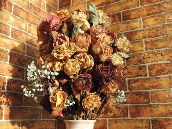 Bodegón con rosas secas —  Fotos de Stock