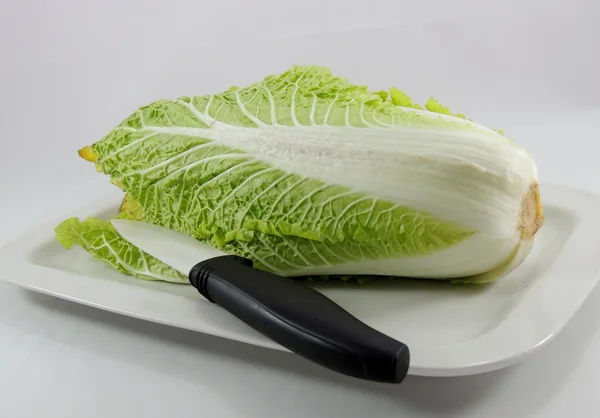 Beijing cabbage, isolated — Stock Photo, Image